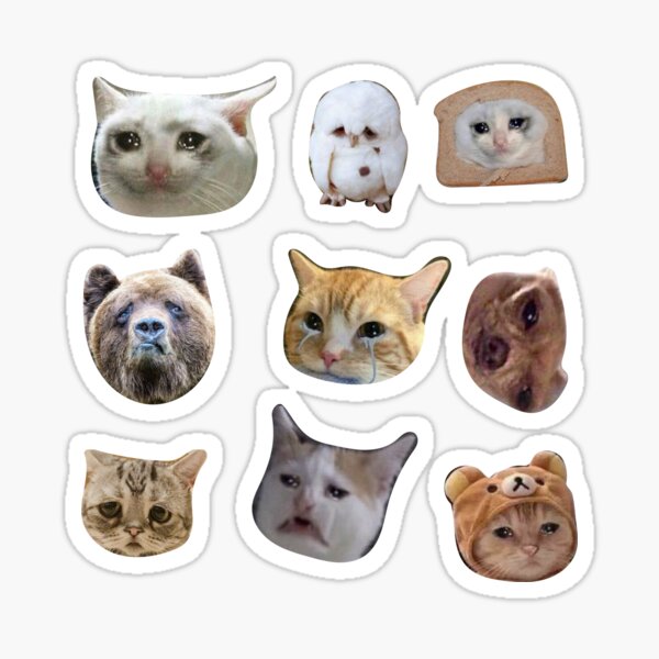 Traurige Meme Tiere Katzen Bären Eulen Hunde Aufkleber Set Sticker