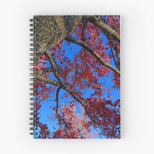 Item preview, Autumn | Fall | Mapple Tree | Stirling | Adelaide |Australia designed and sold by iwaya-bazaar.