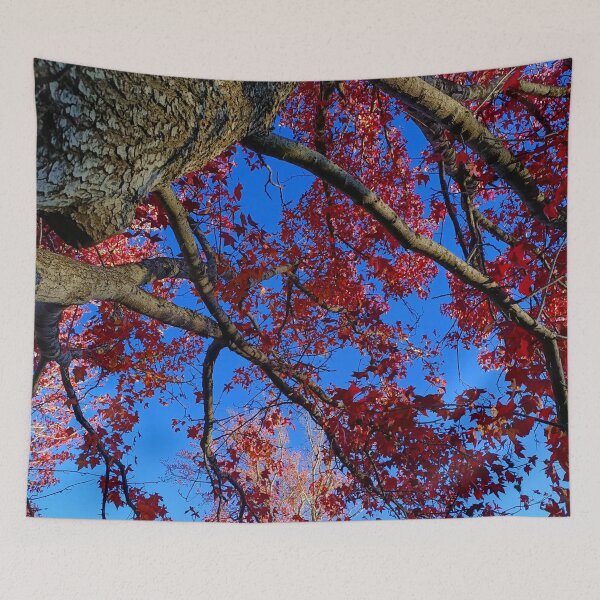 Item preview, Autumn | Fall | Mapple Tree | Stirling | Adelaide |Australia designed and sold by iwaya-bazaar.
