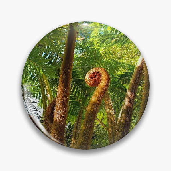 Item preview, Fern Gully | Botanic Gardens | Adelaide | South Australia | Australia designed and sold by iwaya-bazaar.