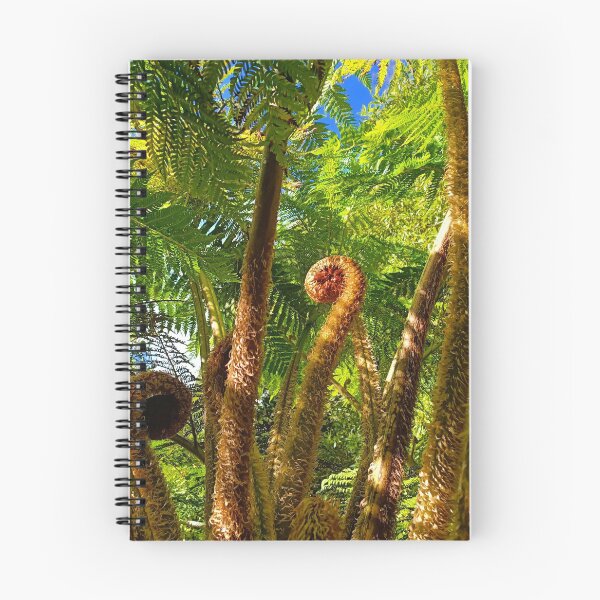 Item preview, Fern Gully | Botanic Gardens | Adelaide | South Australia | Australia designed and sold by iwaya-bazaar.