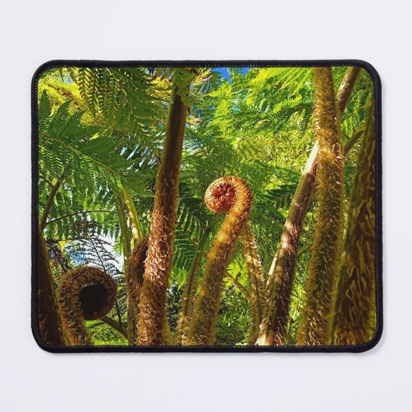 Item preview, Fern Gully | Botanic Gardens | Adelaide | South Australia | Australia designed and sold by iwaya-bazaar.