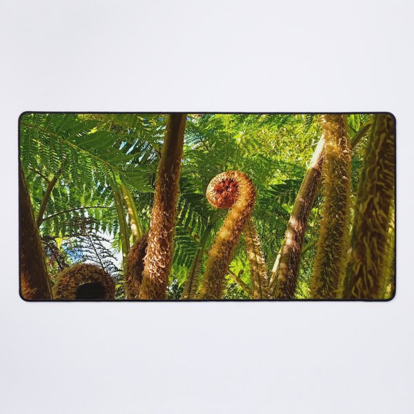 Item preview, Fern Gully | Botanic Gardens | Adelaide | South Australia | Australia designed and sold by iwaya-bazaar.