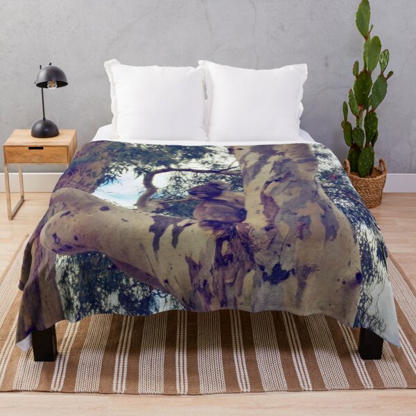 Item preview, Jarvis, the Koala | Hazelwood Park | Adelaide | Australia designed and sold by iwaya-bazaar.