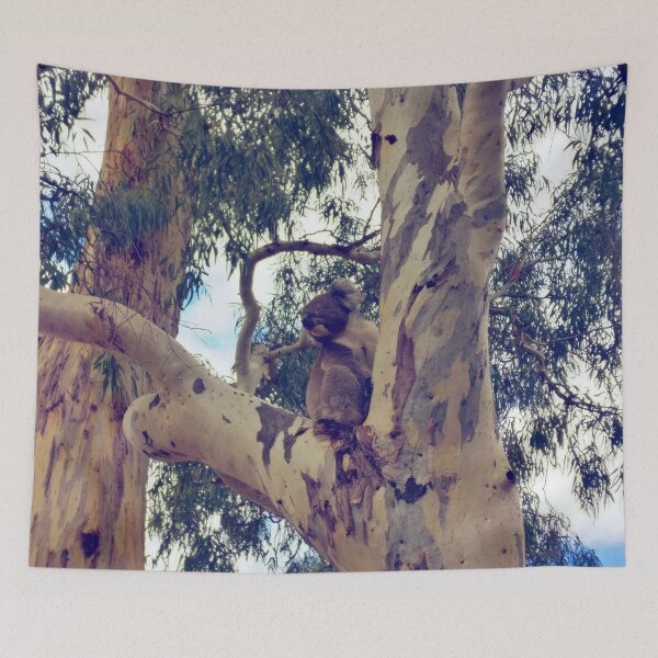 Item preview, Jarvis, the Koala | Hazelwood Park | Adelaide | Australia designed and sold by iwaya-bazaar.