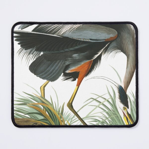 Item preview, Great blue Heron / Birds of America / Vintage watercolour birds / isolated / beige background designed and sold by wild.geranium.design.
