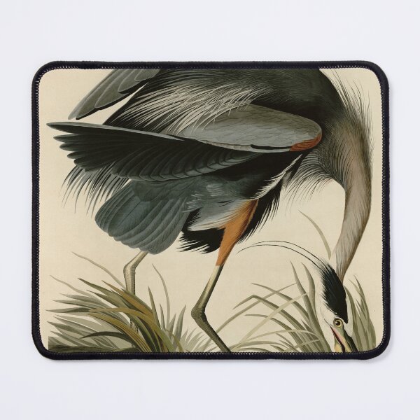 Item preview, Detail Great blue Heron / Cropped / Birds of America / Vintage watercolour birds fragments / original background designed and sold by wild.geranium.design.