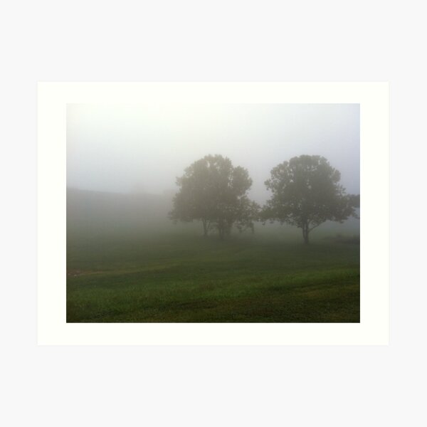 Misty Morning Art Print