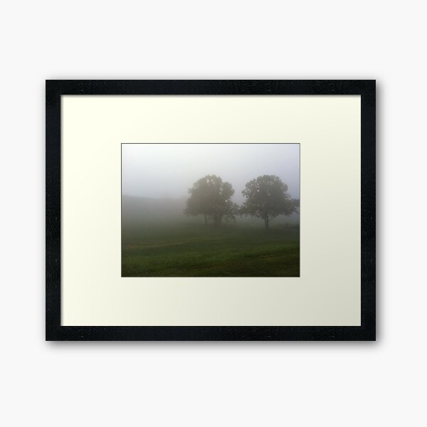 Misty Morning Framed Art Print