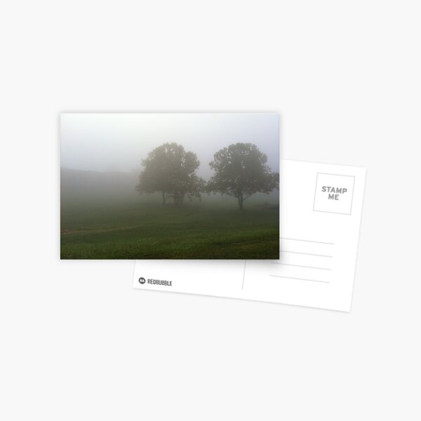 Misty Morning Postcard