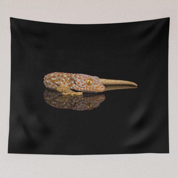 Item preview, Tokay Gecko designed and sold by FXST.