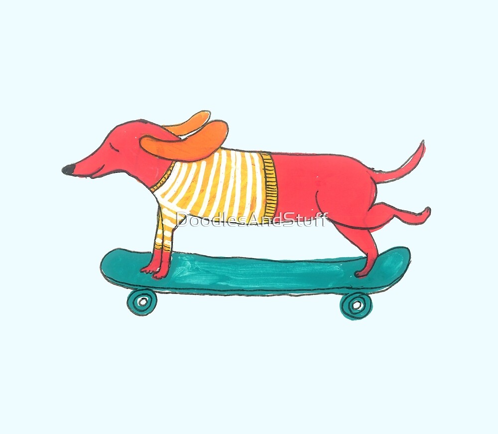 Albums 102+ Images An Image Of A Dog On A Red Skateboard Superb