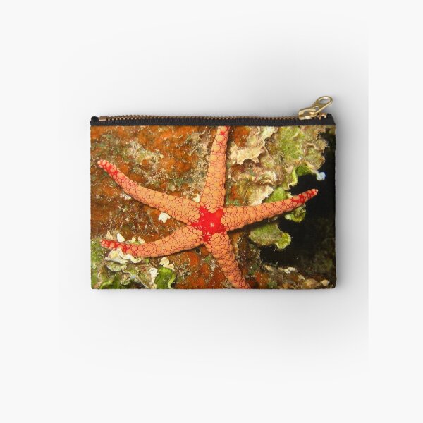 Item preview, Orange Starfish designed and sold by BravuraMedia.