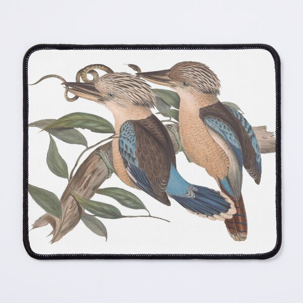 Item preview, Vintage Kookaburras and snake designed and sold by Swags.