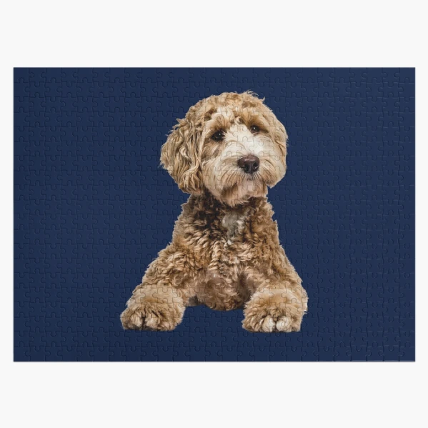 Doodle Dog and Other Mixed Breeds - 500 Piece Puzzle