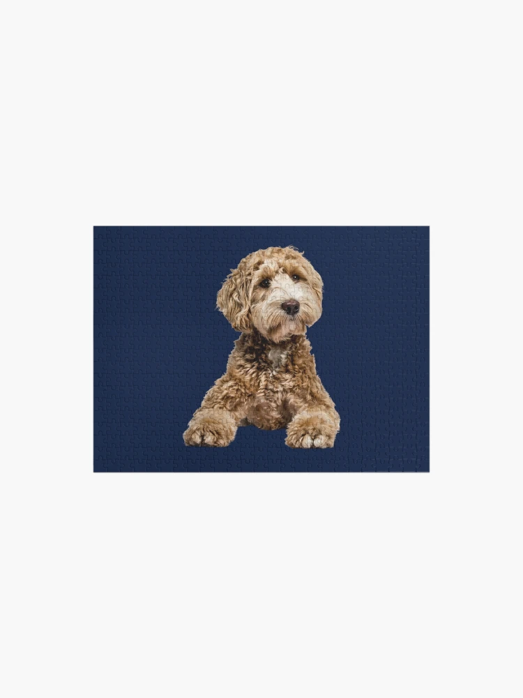 Doodle Dog and Other Mixed Breeds - 500 Piece Puzzle