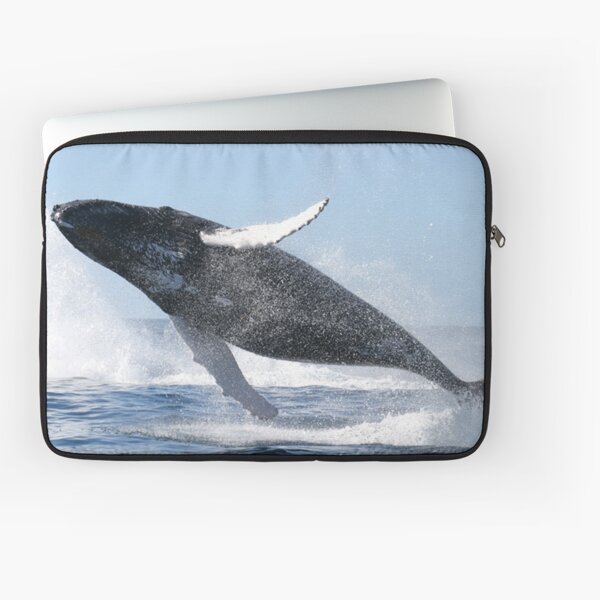 Humpback Whale Jumping High Laptop Sleeve
