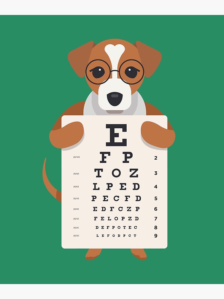 Eye best sale dog doctor