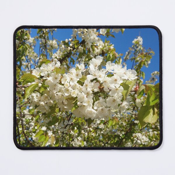 Item preview, White blossom, blue sky designed and sold by LittleBettyMakes.