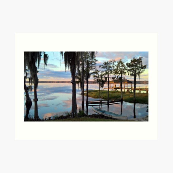 Florida Art Print