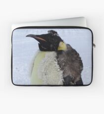 Molting Emperor Penguin Laptop Sleeve