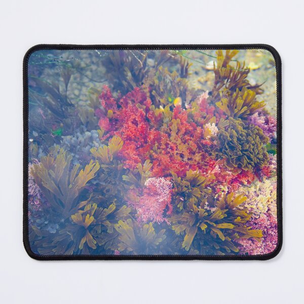 Item preview, Tide Pools of Laguna Beach designed and sold by Kgphotographics.