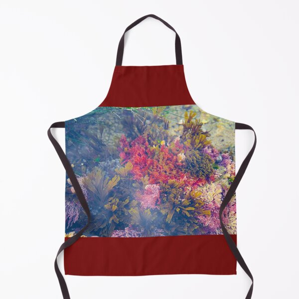 Item preview, Tide Pools of Laguna Beach designed and sold by Kgphotographics.