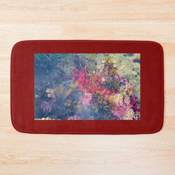 Item preview, Tide Pools of Laguna Beach designed and sold by Kgphotographics.