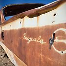 Desert Impala by ponycargirl