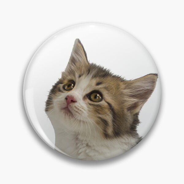 Item preview, cute fluffy kitten photo designed and sold by vilma3000.