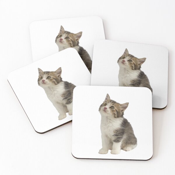 Item preview, cute fluffy kitten photo designed and sold by vilma3000.