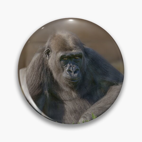 Item preview, Gorilla Youngster designed and sold by rawshutterbug.