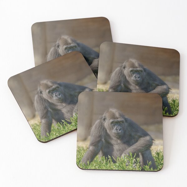 Item preview, Gorilla Youngster designed and sold by rawshutterbug.