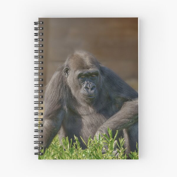 Item preview, Gorilla Youngster designed and sold by rawshutterbug.