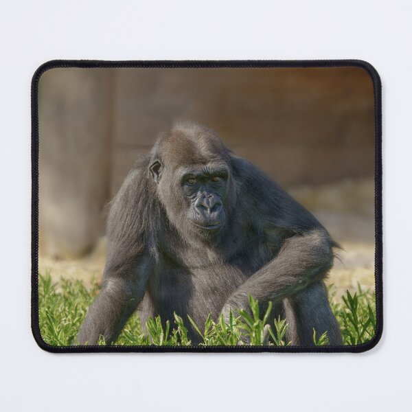 Item preview, Gorilla Youngster designed and sold by rawshutterbug.