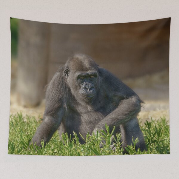 Item preview, Gorilla Youngster designed and sold by rawshutterbug.