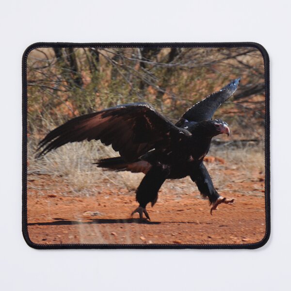 Item preview, Eagle Running, Stuart Highway, Australia 20190910 designed and sold by muz2142.