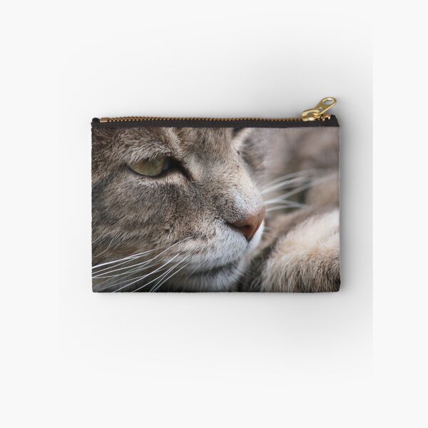 Artikelvorschau, Close-up of tabby cat entworfen und verkauft von turniptowers.