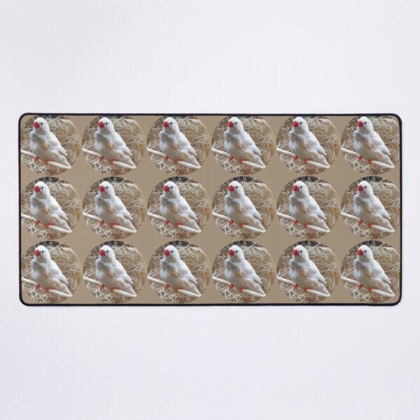 Item preview, White Finch designed and sold by Linda Walsh.