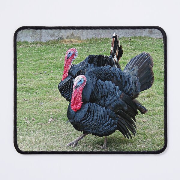 Item preview, Turkey Times Two! designed and sold by Linda Walsh.