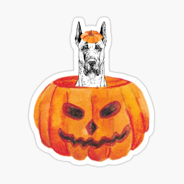 great-dane-with-pumpkin-merch-gifts-for-sale-redbubble
