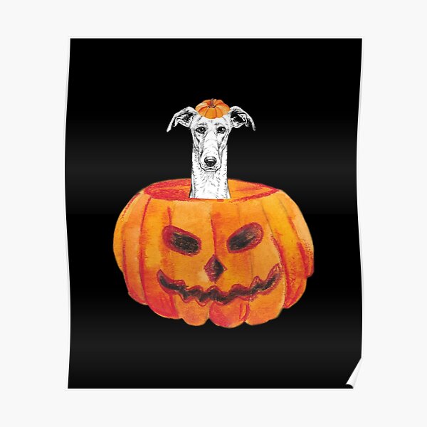greyhound pumpkin