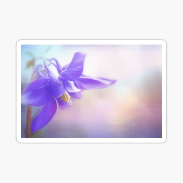 Painted Purple Columbine Sticker