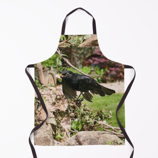 Item preview, r997 / New Finition 2021- Merle " En plein vol " (c)(t) Olavia-Olao Okaio Créations designed and sold by o.okaïo.