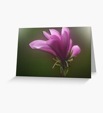 Perfect World Greeting Card