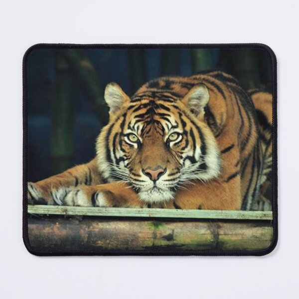 Item preview, pride of the tiger designed and sold by CeylonTestShop.