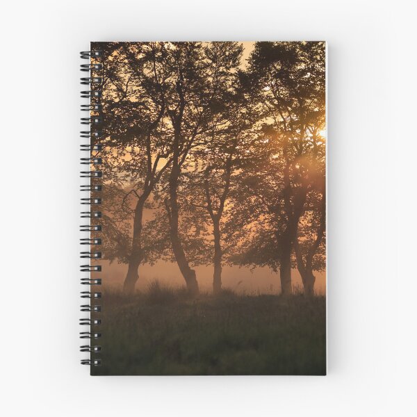 Item preview, Sunrise designed and sold by synergypics.
