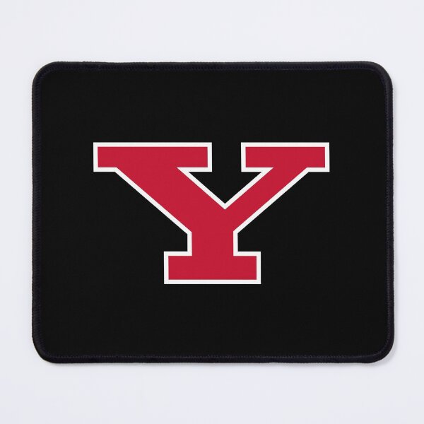 Item preview, The Youngstown Penguin designed and sold by juniorendo.
