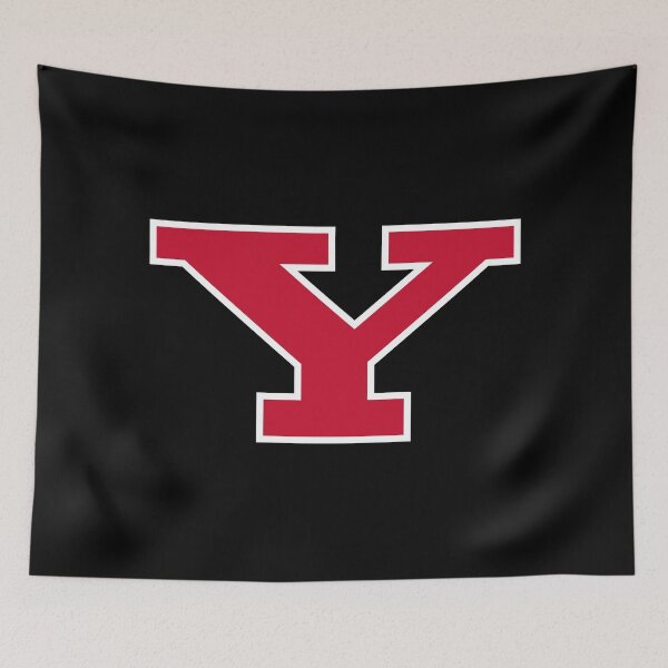 Item preview, The Youngstown Penguin designed and sold by juniorendo.