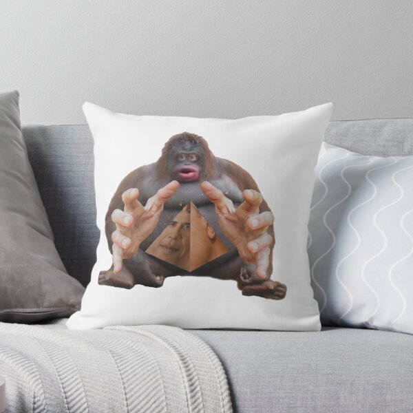 https://ih1.redbubble.net/image.2855508100.7784/throwpillow,small,600x-bg,f8f8f8-c,0,120,600,600.jpg